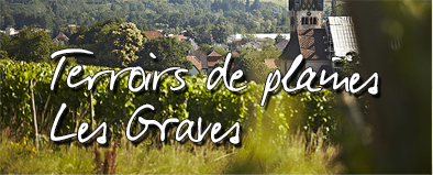 vignoble-Terroirs de plaines Les Graves